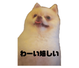 743086885