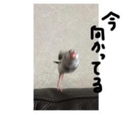 743096620