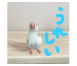 743096624