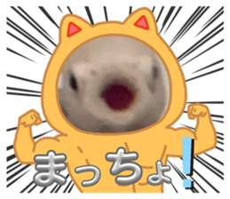 743139215