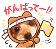 743140699