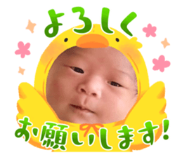 743148891