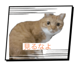743154276