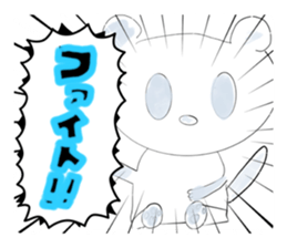 743155554