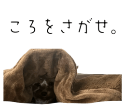 743166648