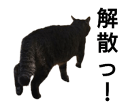 743171740