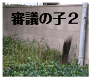 743171750