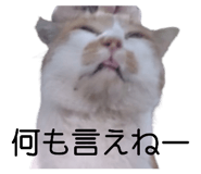 743171752