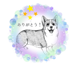 743221379