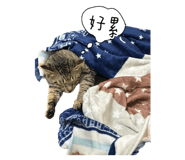 743226698