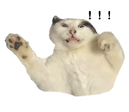 743228785