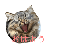 743228789