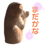 743228790