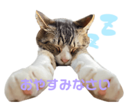 743228792