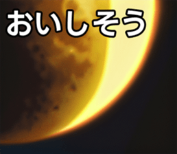 743245616