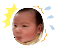 743250067
