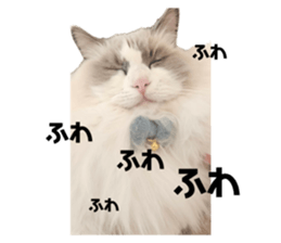 743250225