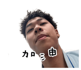 743250991