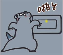 743253920
