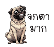 743258485