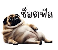 743258495