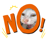 743259011