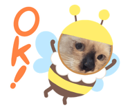 743259014