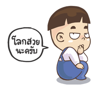 ลายที่ 13