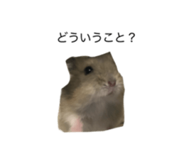 743276638