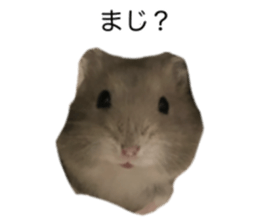 743276639