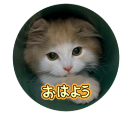 743276737