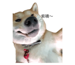 743278638