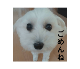 743279891