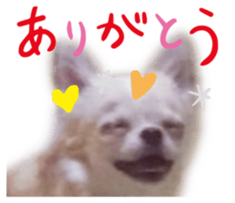 743283347