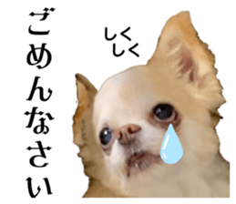 743283348