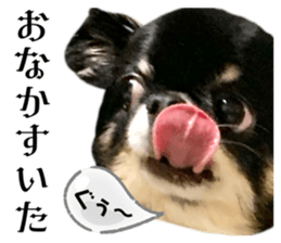 743283358