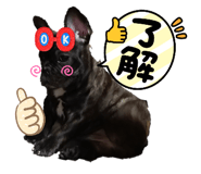 743284544