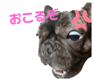 743284550