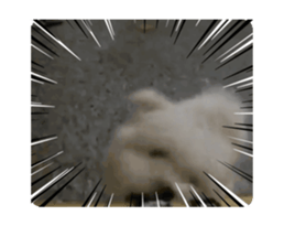 743285491