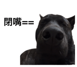 743294589