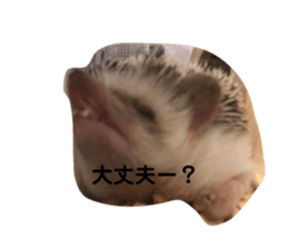 743296715