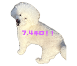 743299608