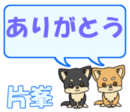 743302362