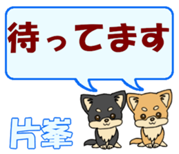 743302373