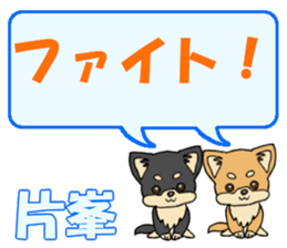 743302376