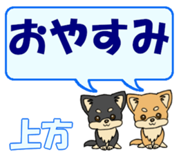 743302502