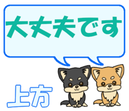 743302516