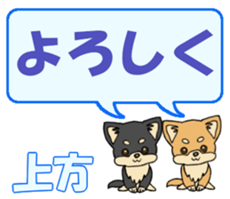 743302525