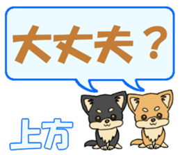 743302530