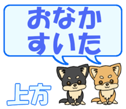 743302532